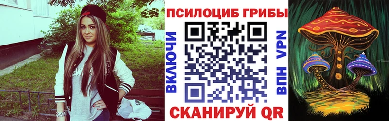 mega как зайти  купить  цена  Краснотурьинск  Псилоцибиновые грибы Cubensis 